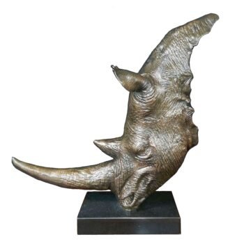 Bronze rhino head
