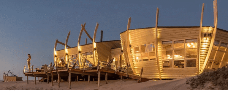 Namibia Nala Africa Collections