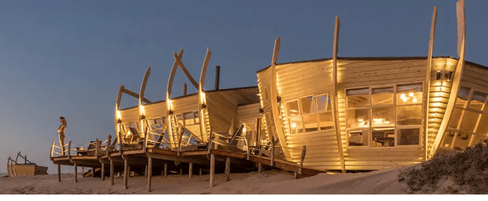 Namibia Nala Africa Collections