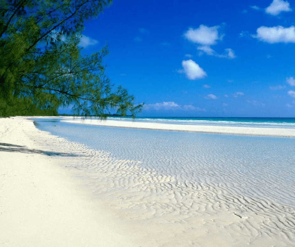 Zanzibar Beach Nala Africa Collection