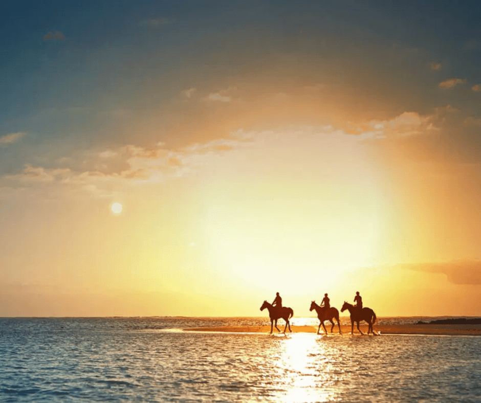 Horseriding on the beach Mauritius
