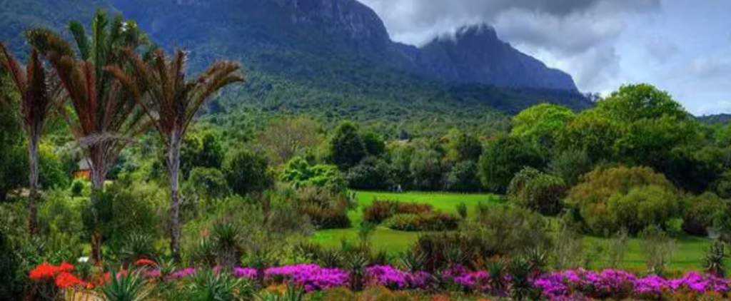 Kirstenbosch Botanical gardens