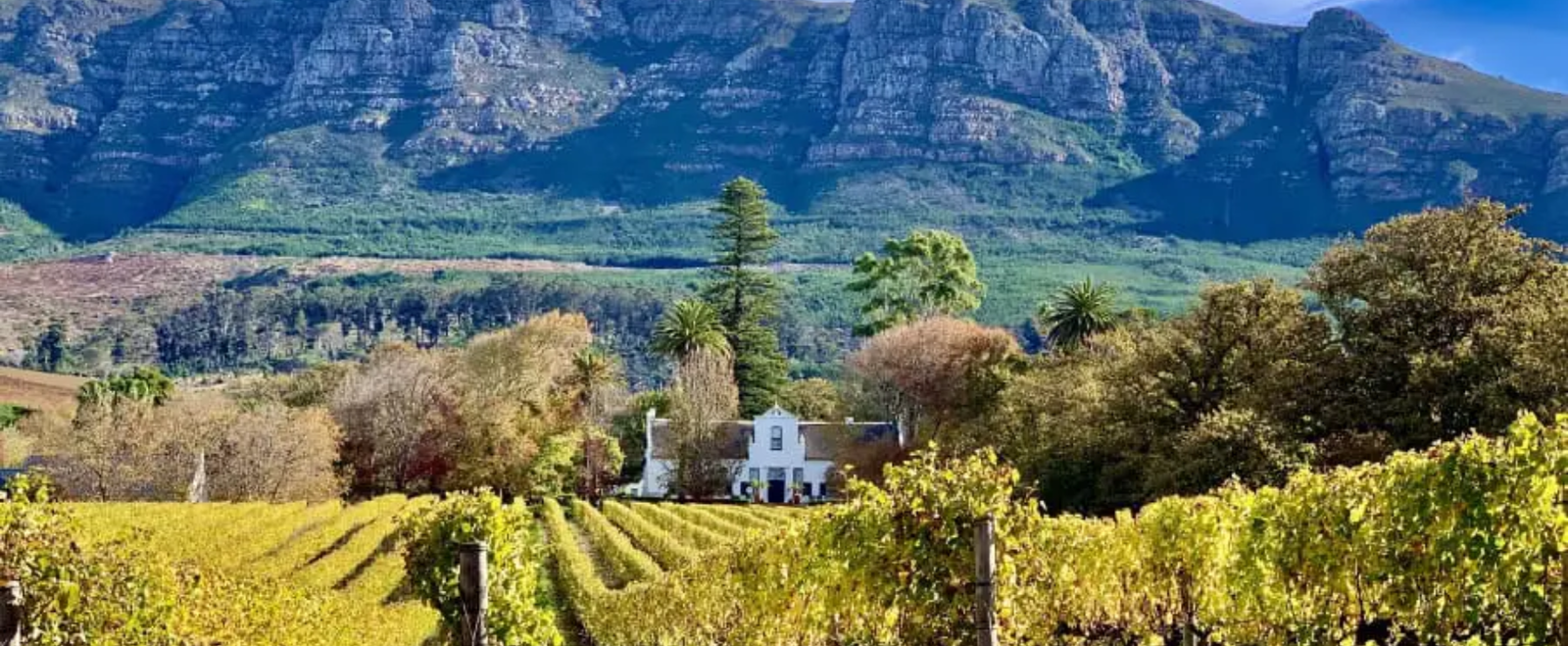 Winelands Cape Town