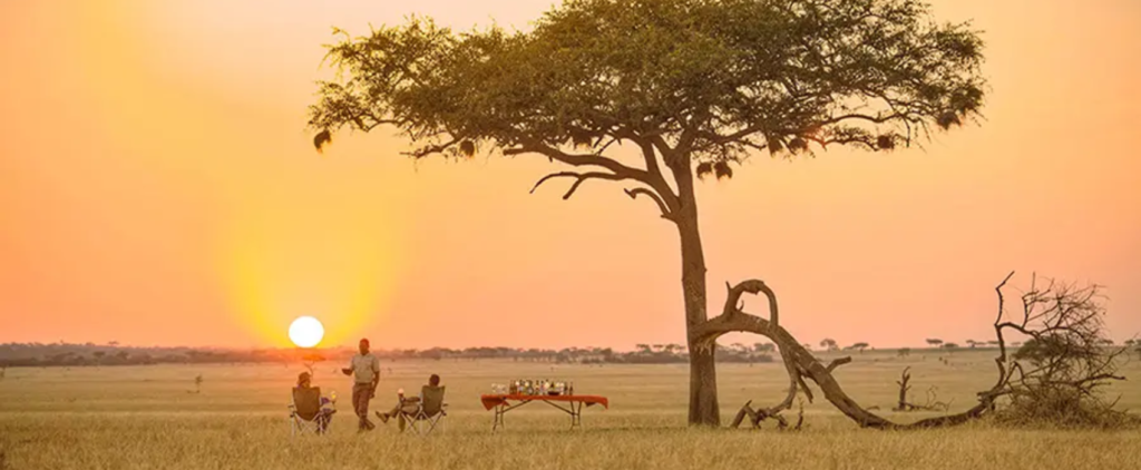 Sundowner on savannah plains
