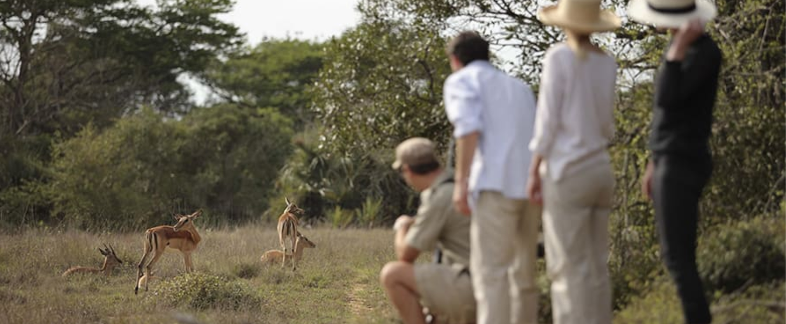 Walking safari looking at buck