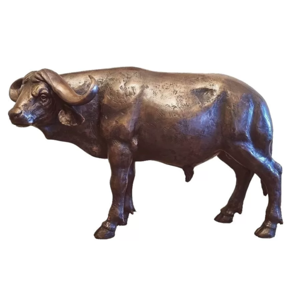 1 bronze cape buffalo sculpture