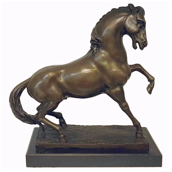 feral horse of the Namib bronze sculpture