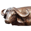 2 bronze cape buffalo sculpture
