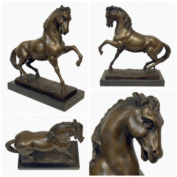 feral horse of the Namib 4 view image