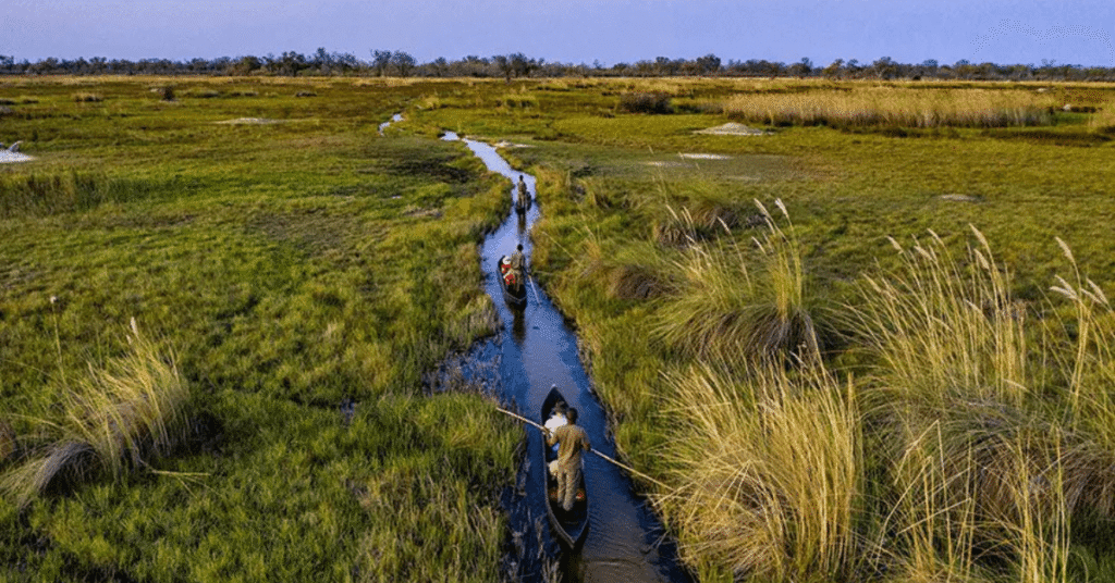 Close encounters in the bush on your Photo Safari Nala Africa Collections