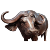 3 bronze cape buffalo sculpture
