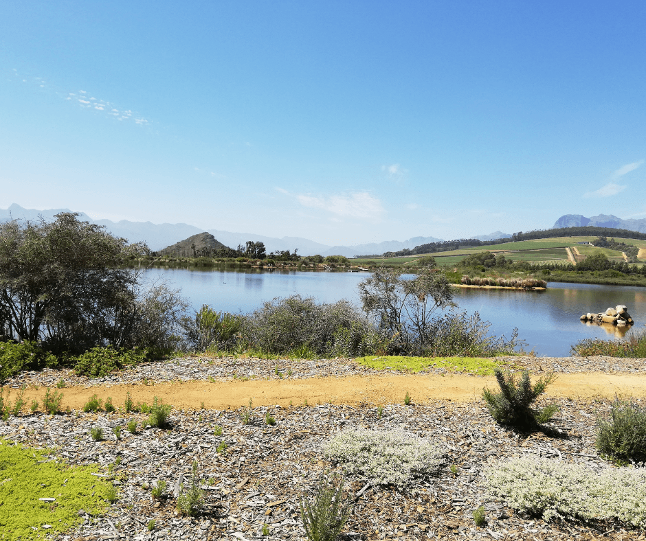 Babylonstoren canoe on the dam