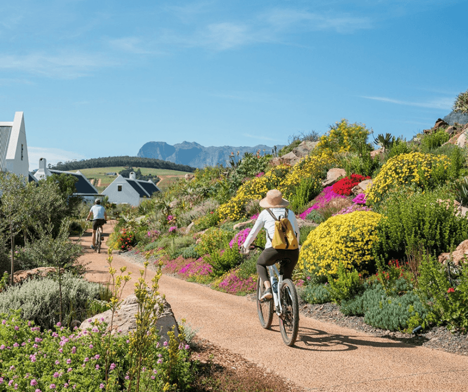 Babylonstoren cycling on the farm