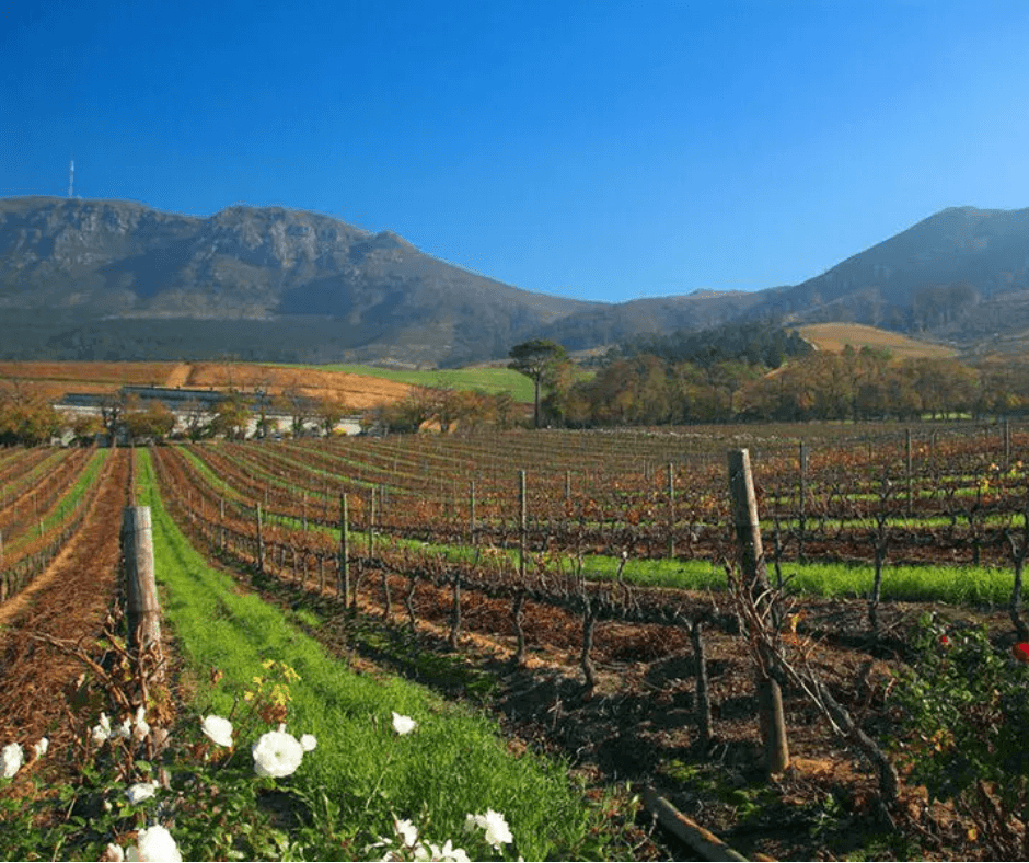Cape Town Constantia valley